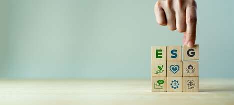 ESG E-Commerce Programs