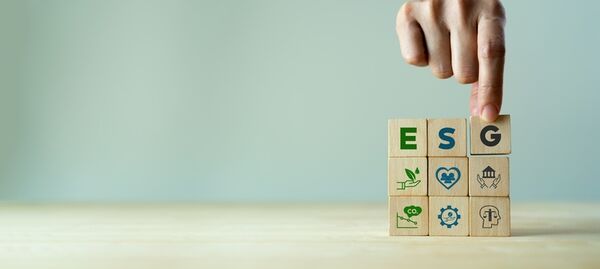 ESG E-Commerce Programs