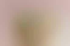 Chic Ballet-Inspired Apparel