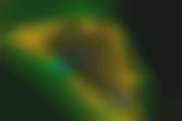 Movement-Focused Performance Sneakers