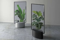AR-Powered OLED Room Dividers