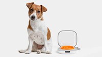 Intelligent Maze-Style Dog Bowls Image 2