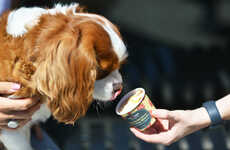 Nutritious Doggie Ice Creams