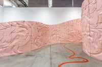 Brain-Like Labyrinths Image 3