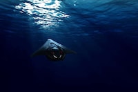 Manta Ray-Inspired Submarines Image 3