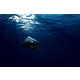 Manta Ray-Inspired Submarines Image 3