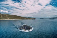 Manta Ray-Inspired Submarines Image 5