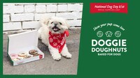 Celebratory Dog-Friendly Donuts Image 1