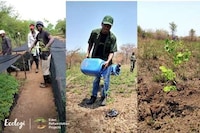 Subscription-Based Climate Action Platforms Image 1