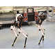 Robotic Four-Legged Dogs Image 1