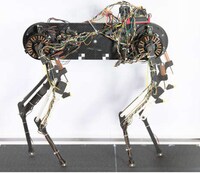 Robotic Four-Legged Dogs Image 2