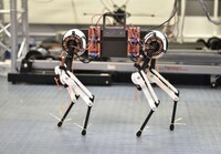 Robotic Four-Legged Dogs Image 3
