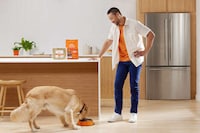 Affordable Human-Grade Dog Meals Image 2