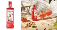 Fruity Eye-Catching Gins Image 1