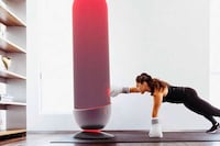 Smart Home Boxing Systems Image 1