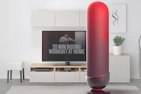 Smart Home Boxing Systems Image 2