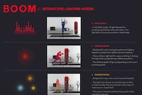 Smart Home Boxing Systems Image 4