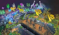 Immersive Light Show Experiences Image 1