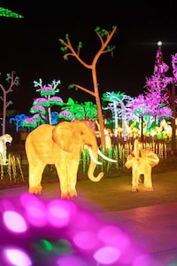Immersive Light Show Experiences Image 3