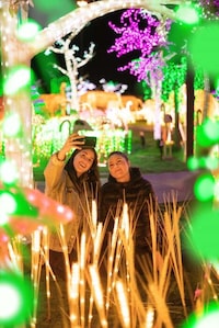 Immersive Light Show Experiences Image 4