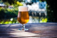Hoppy Tulip Ales