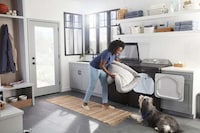 Pet-Optimized Laundry Systems Image 2