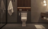Patented Toilet Bidet Seats Image 1