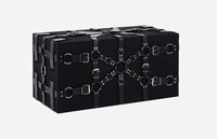 Architecturally Reimagined Luggage Lines