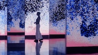 Physics-Informed Digital Sculptures
