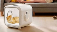 360-Degree Pet Dryers Image 3