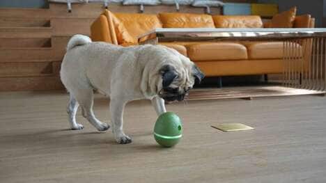 Responsive Egg-Like Pet Toys