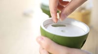 Responsive Egg-Like Pet Toys Image 3