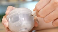 Responsive Egg-Like Pet Toys Image 5