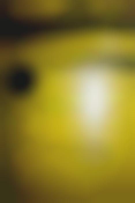 Network-Inspired Fall Fashion