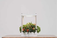 Gardening Furniture Systems Image 2