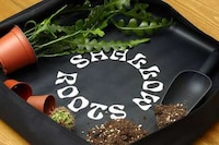 Plant Care Tool Collections