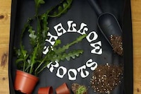 Plant Care Tool Collections Image 3
