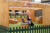 Petting Booth Pop-Ups