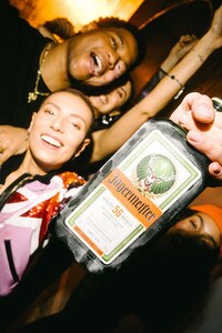 Temperature-Reactive Liqueur Bottles Image 2