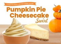Pumpkin Pie Cheesecake Yogurts Image 1