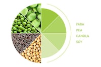 Plant Protein Distribution Partnerships Image 1