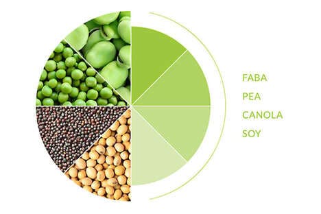 Plant Protein Distribution Partnerships