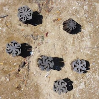 Aquatic Shoreline Conservation Stools Image 4