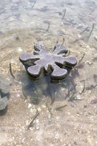 Aquatic Shoreline Conservation Stools Image 6