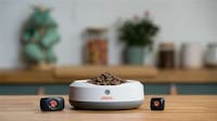 GPS-Enabled Dog Trackers