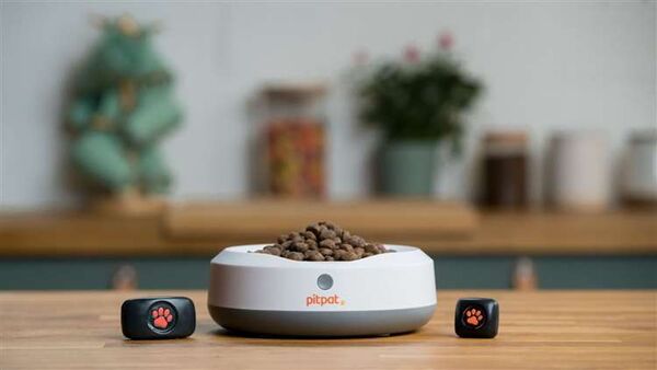 GPS-Enabled Dog Trackers