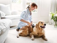 High-End Dog Grooming Tools Image 1