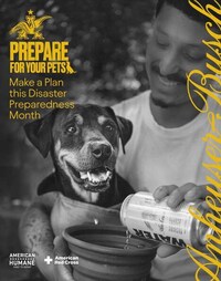 Pet Disaster Plan Campaigns Image 1