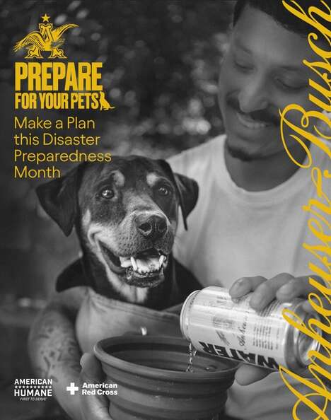 Pet Disaster Plan Campaigns