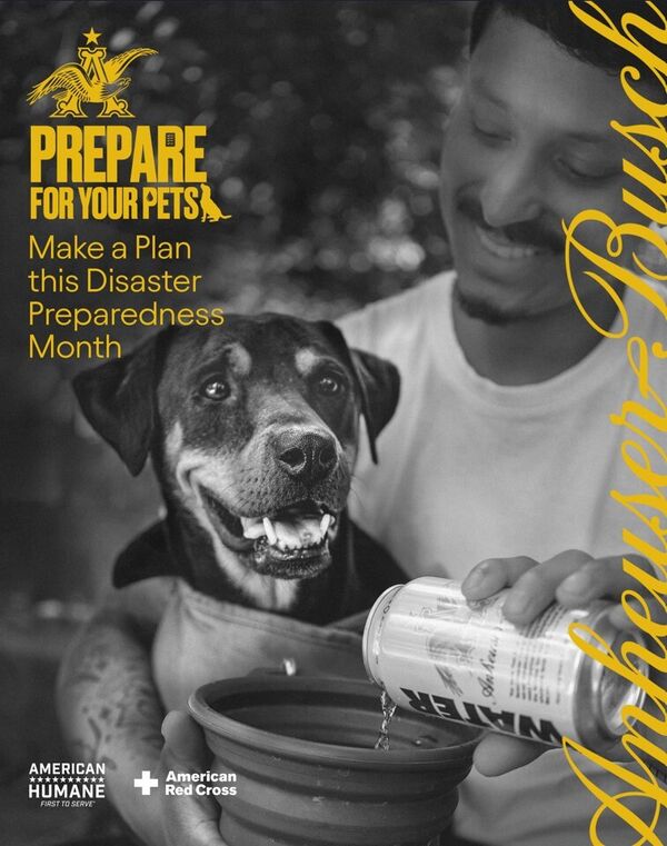 Pet Disaster Plan Campaigns
